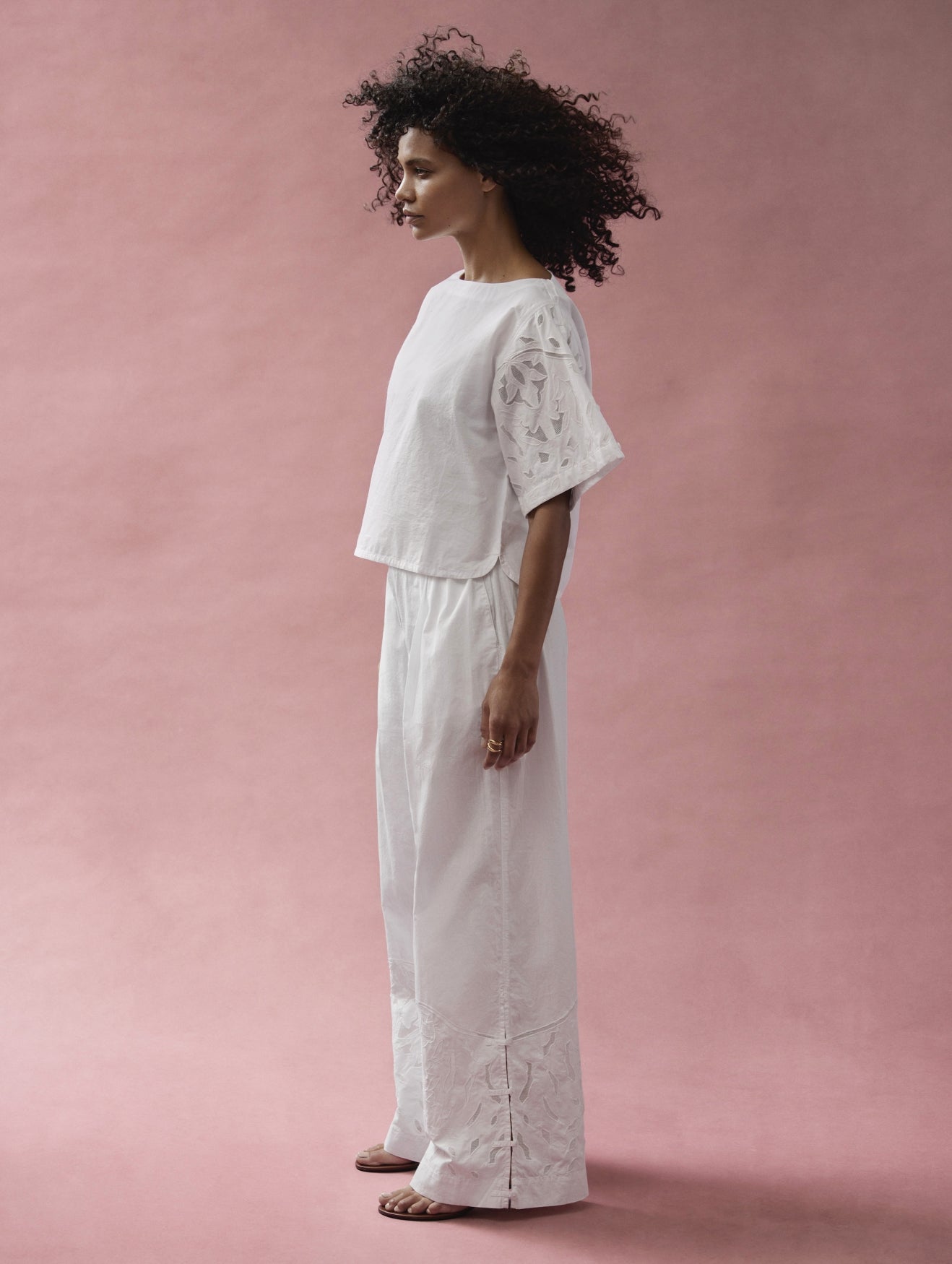 Top Lotus | Very white